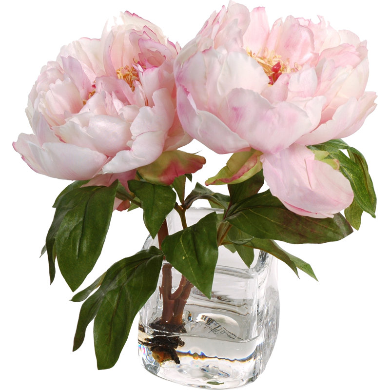 New Growth Designs Faux Peony Floral Arrangement in Vase & Reviews